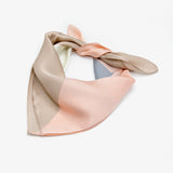 leez silk scarf